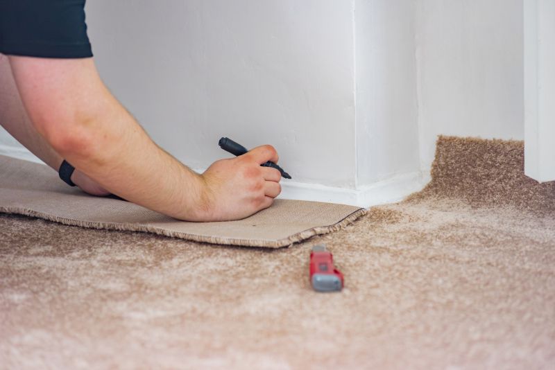 Carpet Color Repair