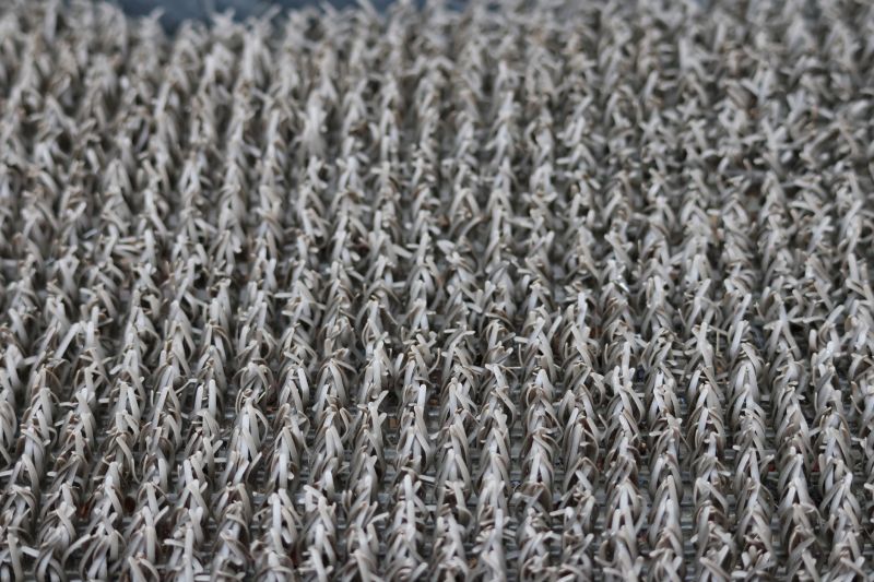 Basement Carpet Repair in Overland Park, KS