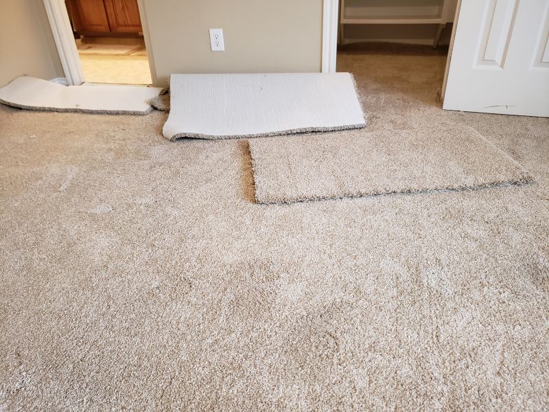 Carpet Burn Repair in Olathe, KS