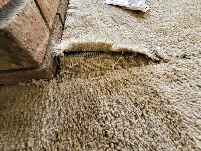 Carpet Seam Repair in Olathe, KS