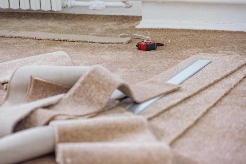 Carpet Color Repair detail